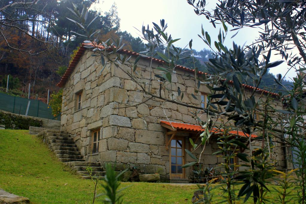 Douro Senses - Nature House シンファンイス 部屋 写真