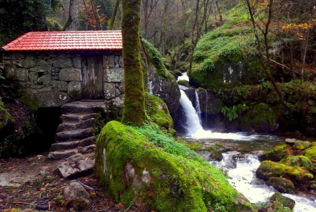 Douro Senses - Nature House シンファンイス エクステリア 写真