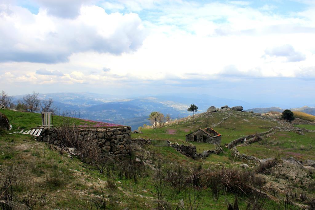 Douro Senses - Nature House シンファンイス 部屋 写真